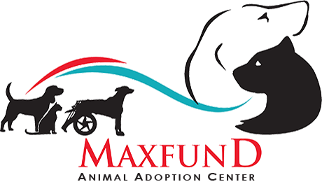 Maxfund Logo