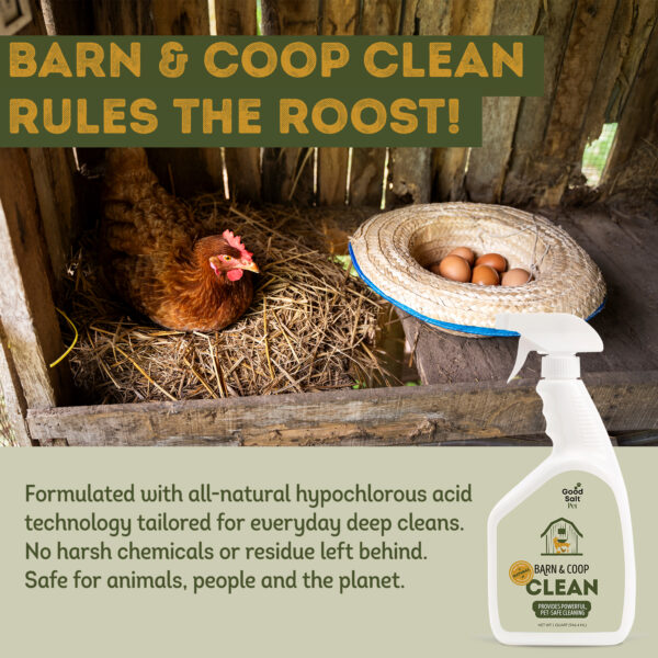 Barn and Coop Clean - Image 4