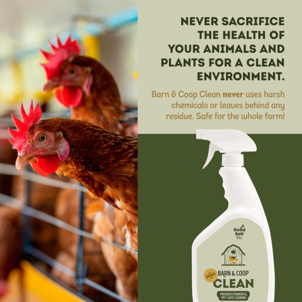 Barn and Coop Clean - Image 7
