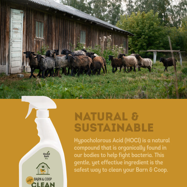 Barn and Coop Clean - Image 5