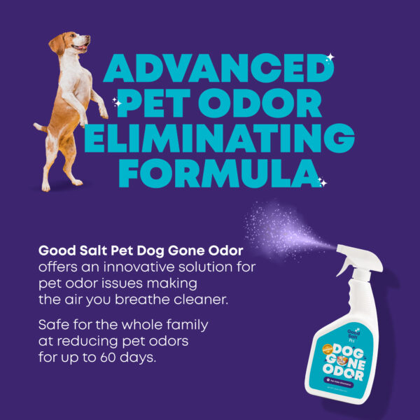 Dog Gone Odor - Image 3