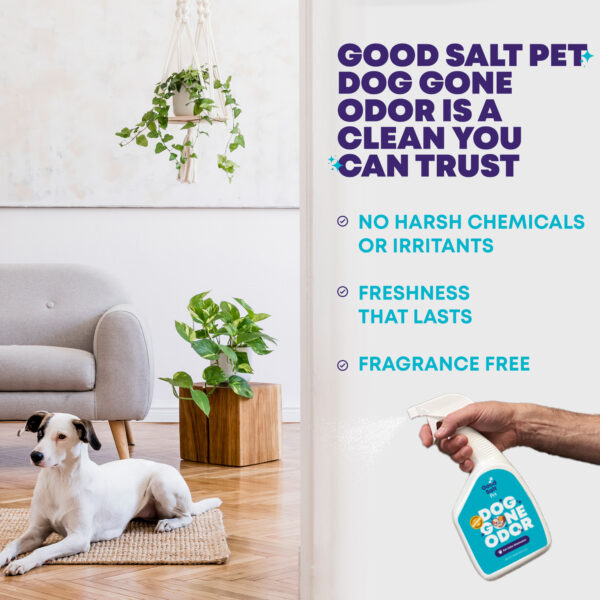 Dog Gone Odor - Image 4